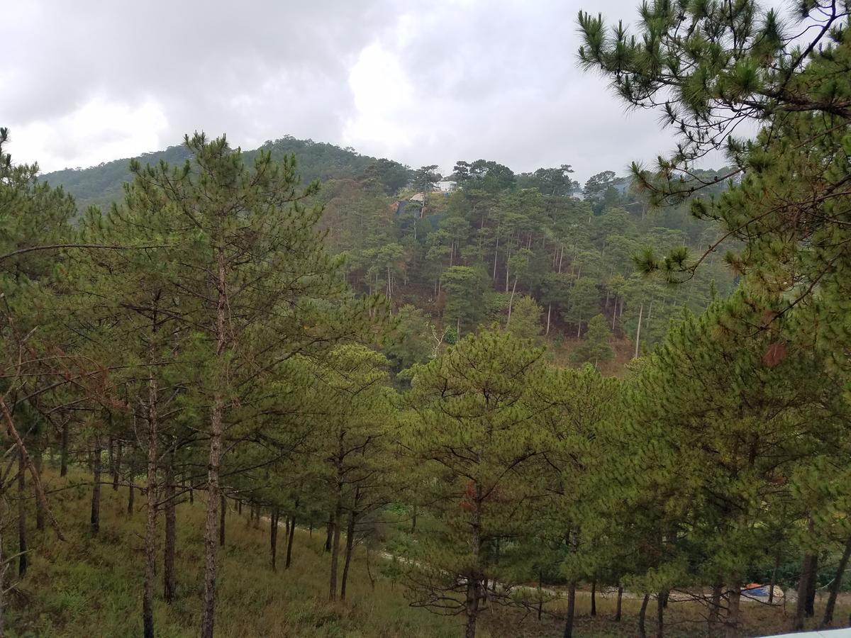 Lam Phan Hotel Villa Dalat Exterior foto